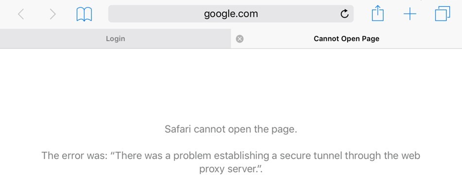 Safari Error Screen 